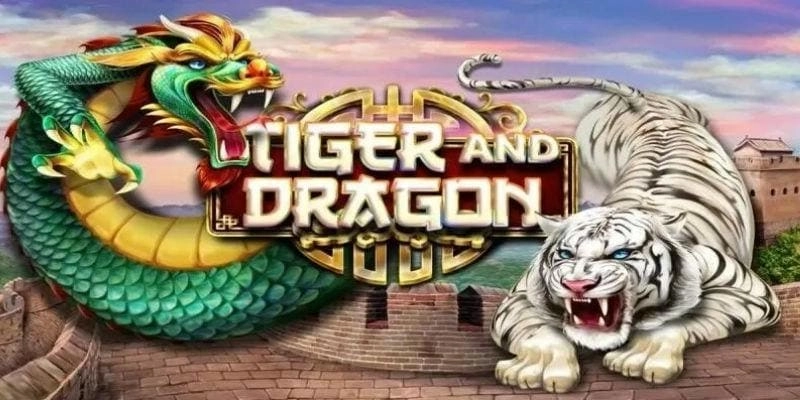 Chia sẻ những ưu đãi cho người chơi rồng hổ
