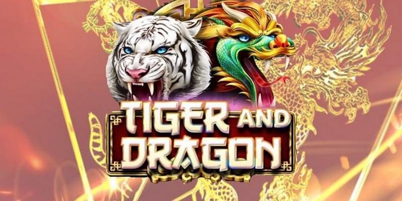 Lý do chọn tham gia rồng hổ tại xocdia88