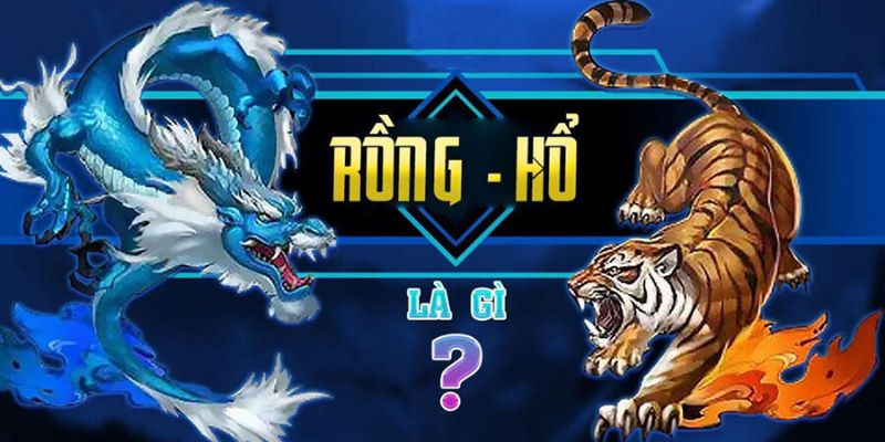 Thông tin tổng quan về rồng hổ xocdia88
